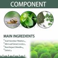 Green Algae Tattoo Removal Spray Painless Scarless Quick Removal Maximum Strength Body Tattoo Cleaning Fades Tattoos 30ML. 