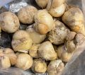 All in one Alluim Wnter Flower Bulb Deal (  Purple sensation ,christophii, Cowanni). 
