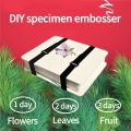 1 Set Plant Specimen Tool Kit DIY Dry Flower Press Wooden Plant Press Tool Flower Press Kit Plant Leaf Press Set A. 