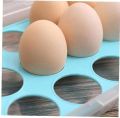 Egg Cartons, PP Egg Holder With Buckle Colorful Tray Store 15 Eggs Egg Container For Refrigerator. 
