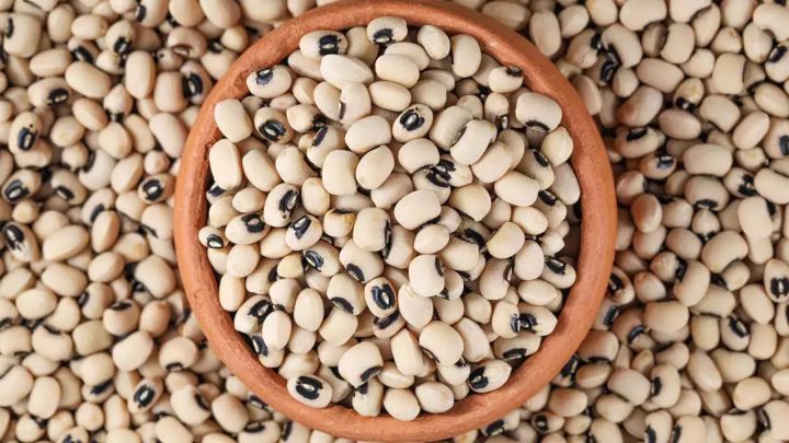 "Premium%20White%20Lobia%20%E2%80%93%20Nutritious%20&%20Delicious%20Beans"%7C%20SAFAID%20LOBIA%7C%20BLACK%20EYED%20BEANS%20%7C%20WHITE%20KIDNEY%20BEANS%20%7C%20COW%20PEAS%20%7C%20FIELD%20PEAS%20%7C%20CHAWLI%20%7C%201KG%20-%20Image%202
