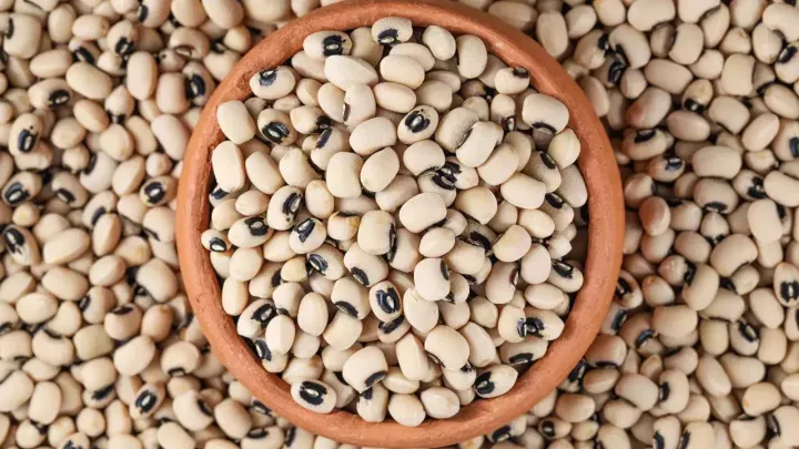 "Premium%20White%20Lobia%20%E2%80%93%20Nutritious%20&%20Delicious%20Beans"%7C%20SAFAID%20LOBIA%7C%20BLACK%20EYED%20BEANS%20%7C%20WHITE%20KIDNEY%20BEANS%20%7C%20COW%20PEAS%20%7C%20FIELD%20PEAS%20%7C%20CHAWLI%20%7C%20500GM%20-%20Image%202