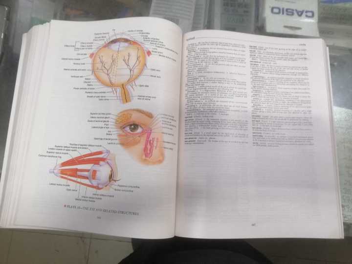 Dorland's%20Illustrated%20Medical%20Dictionary%20Dorland's%20Medical%20Dictionary%2032th%20Edtion%20(%202%20Vol%20Of%20Book%20)%20%20/%20Medical%20Dictionary%20-%20Image%204