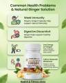 Ginger Powder Capsules 60 | Adrak Herbal | 100% Pure & Natural | Digestive & Immunity Support. 