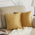 2 Pcs Plain Velvet Cushion Covers Soft Velvet Fabric on Both Sides With Side Zip Cushion Covers for Spring Sofa, Living Room, Couch, Bed, Home Decor | Cushion |-16"x16"Inch By Comfynook. 