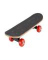 Skate Board with complete Kit. 