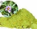 Dhamasa Booti Powder 113g. 