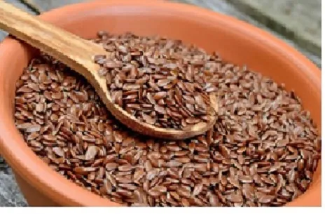 Flax%20Seeds%20(Alsi)%20%20200%20%20g%20%20%20%20%20%20%20%20%20%20Flax%20Seeds%20(Alsi)%20%20200%20%20g%20%20%20%20%20%20%20%20%20%20Flax%20Seeds%20(Alsi)%20%20200%20%20g%20-%20Image%205