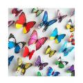 Pack of 12- 3D PVC Butterfly Wall Stickers Decoration Magnet Butterflies on the wall and Refrigerator DIY Wallpaper. 