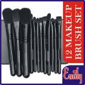 High Quality Makeup Brush Set 12 Pcs Make up Brush Set in Steel Box set of 12 brushes. 