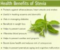 Ayushmaan Organics The supernatural Stevia dry leaves 250 gram. 