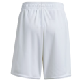 Arsenal T-Shirt and Shorts Football Kit new design 2024/2025 Adults and Kids Sizes Available. 