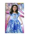Sofia Costume For Girls Blue. 
