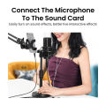 UGREEN XLR to 3.5mm Microphone Audio HiFi Cable XLR Female to Mini Jack Aux Mic Cord for Camcorders DSLR Cameras Computer. 