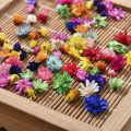 140PCS Real Dried Flowers Brazil Little Star Flower for DIY Art Craft Epoxy Resin Candle Making Jewelry Wedding Home Decoration. 