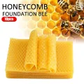 10Pcs Beeswax Sheets Candle Making Craft DIY Kits Honey Candles Maker Full Bees Wax Honeycomb Beekeeping Foundation Sheets New. 