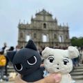 Kpop Idol Aespa WINTER KARINA Animal Doll Plush Doll White Curry Dog Stuffed Toys. 