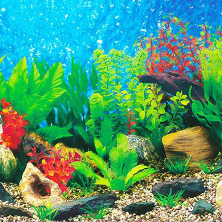 FLYEER%20Aquarium%20background%20paper%20HD%20picture%203d%20three-dimensional%20fish%20tank%20wallpaper%20background%20painting%20double%20sided%20aquarium%20decorative%20fish%20tank%20sticker%EF%BC%8840*82cm%EF%BC%89%20-%20Image%204
