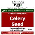 Celery Seeds Pakistan  250 GM. 