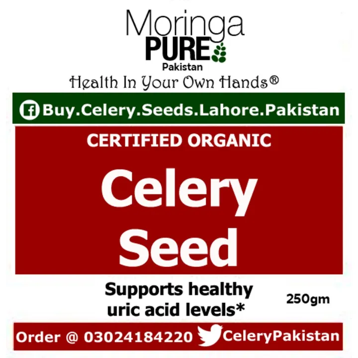 Celery%20Seeds%20Pakistan%20%20250%20GM%20-%20Image%202