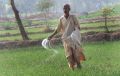 Urea Fertilizer (1 Kg Pack) High Quality Water Soluble For All Plants & Gardening Fertilizer - Agriculture.. 