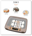 HHD Queen 50 Eggs Incubator Automatic Humidity Control for Parrots Chicken  Farm Use. 