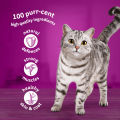 Whiskas jelly food for cats. 