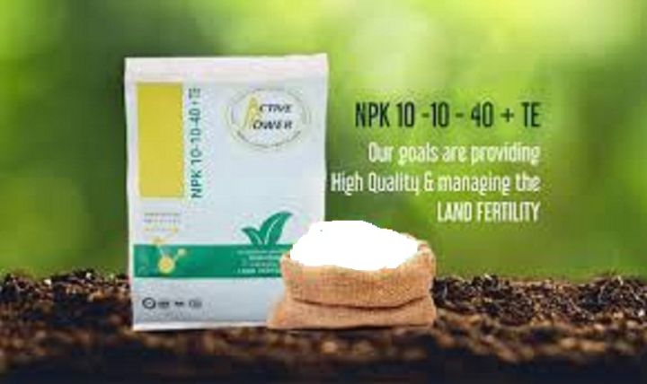 NPK 10 10 40 Fruiting Flowering Booster Fertilizer For All Plants ( 250 gm)