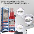 Rayhong Car Mold Remover Interior Seat Foot Pad Roof Remove Cleaning Maintenance Spray Ready Stock. 