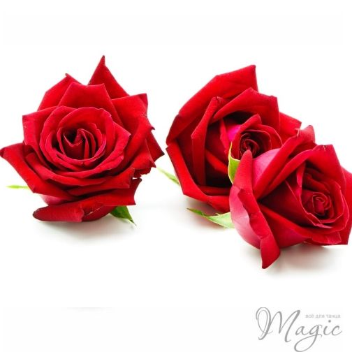 Blossom Elegance: New Elegant Red Rose Bridal Hair Style Flower