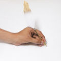 Feather Signature Pen Collection, Peacock Feathers Ballpoint Pens Natural Feather Calligraphy, Writing, Quill Ballpoint For Kids, School, Collage, University, Signatures, Birthday, Wedding, Nikkah, Home, Love One, Office, Best Gift For Friends. 
