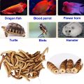 50G Calci Pro Healthy Natural Organic Dried Mealworms For Aquarium Fish/Turtle/Bird/Hamster Feed. 
