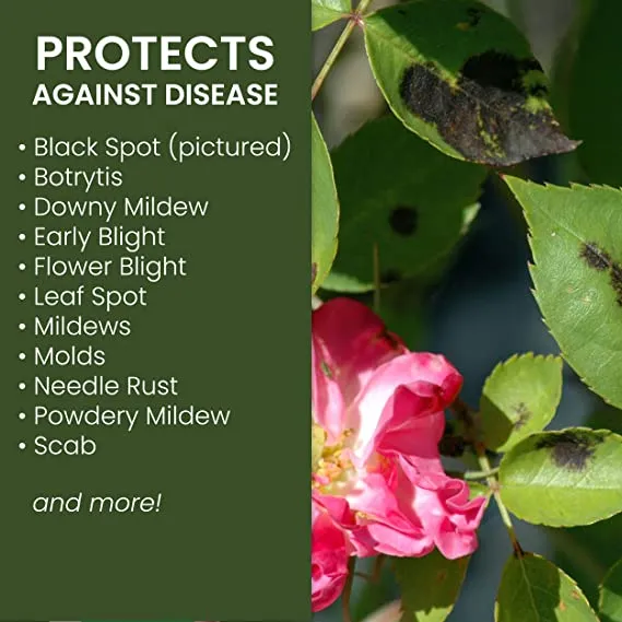 Neem%20Oil%2050ml%20-%20Natural%20Garden%20Insecticide%20&%20Fungicide%20for%20Insects,%20Disease,%20and%20Mold%20Protection%20-%20Image%203