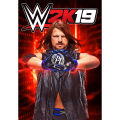 WWE 2K19 Game in USB for PC and Laptop-PC Games. 