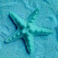 5Pcs Resin Starfish Ornament Beach Ocean Sea Star Home Wall Party Decoration. 