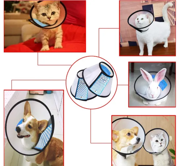 E%20collar%20For%20Dogs/Cat%20Plastic%20Cone%20for%20Dogs%20After%20Surgery%20-%20Image%204