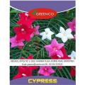 Cypress (Ipomoea quamoclit) Creeper Mix Colour Spring Summer Season Flower Seeds. 
