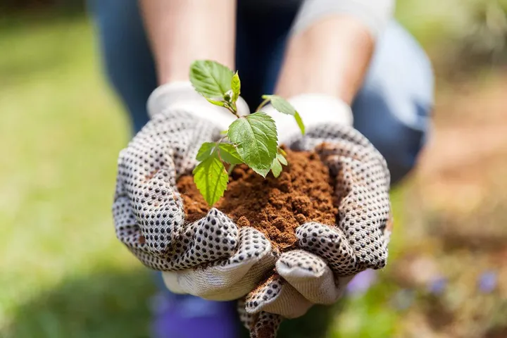 Pure%20Neem%20Cake%20(Khali)%20Powder%201KG%20-%20Organic%20Fertilizer%20and%20Antifungal%20by%20HomeGarden%20-%20Image%203