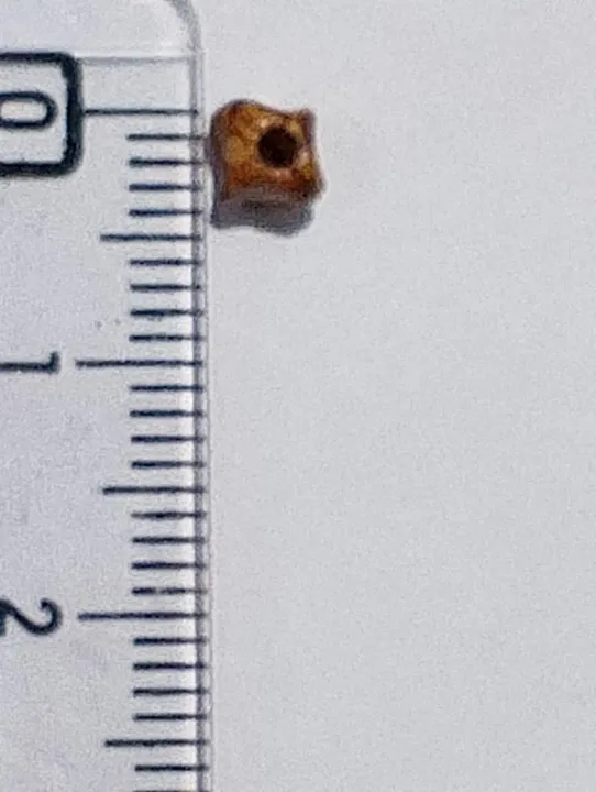 Wooden%20Plastic%20Round%20Cut%20Beads%20for%20DIY%20Crafts%20-%20Pack%20of%2040gms%20-%20Ideal%20for%20DIY%20Jewelry%20Making,%20Jewelry,%20and%20Dress%20Accessories.%20-%20Image%204