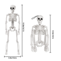 2Pcs Skeleton Halloween Decoration, 16 Inch Full Body Posable Halloween Hanging Skeleton for Indoor Outdoor. 