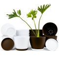 Elevate Your Space with Fast Forward Extra Large Plant Pots: Two Vibrant Colors, Drainage, Perfect for Indoor Planters - Explore Multi-Packs for Plastic Planters, Cactus, and Succulents Decor. 