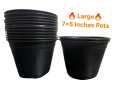 Pack of 10 large 8×8 Inches Plastic pots - Pots for seedling or flower-Pots for Plants - Plastic Pots for Home Gardening - Plastic Pots for Seedling - Premium Quality Plastic Pots. 