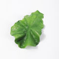 Creative Simulation Lettuce Hair Clip Green Vegetable Leaves Hair Ornaments DUJU. 