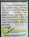 Ridge gourd seeds for kitchen gardeners. 
