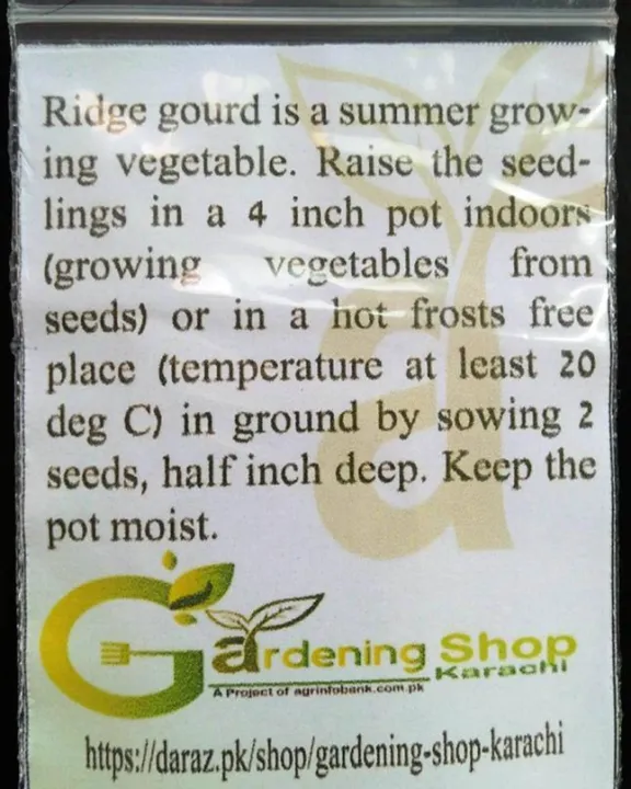 Ridge%20gourd%20seeds%20for%20kitchen%20gardeners%20-%20Image%205