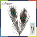 Artisan -  2 pcs Peacock Feather Tail Eye Natural. 