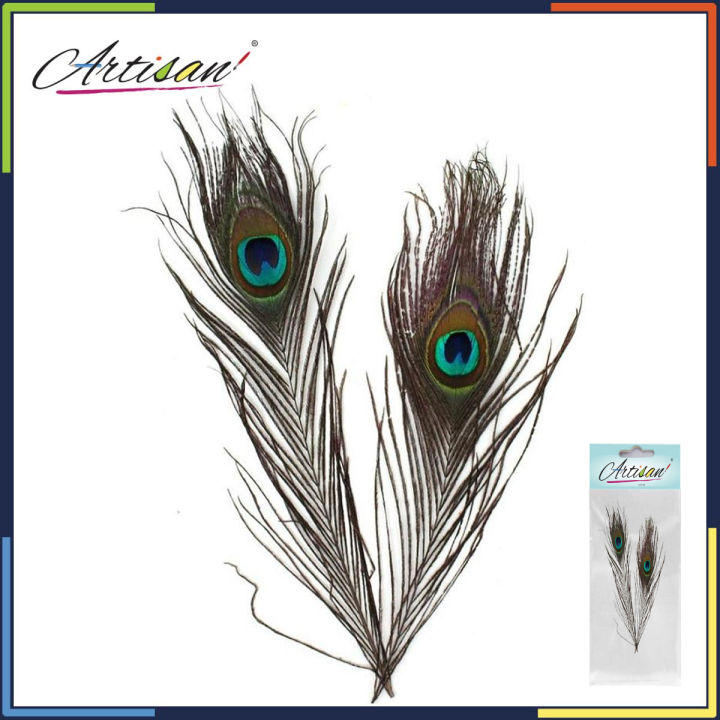 Artisan -  2 pcs Peacock Feather Tail Eye Natural
