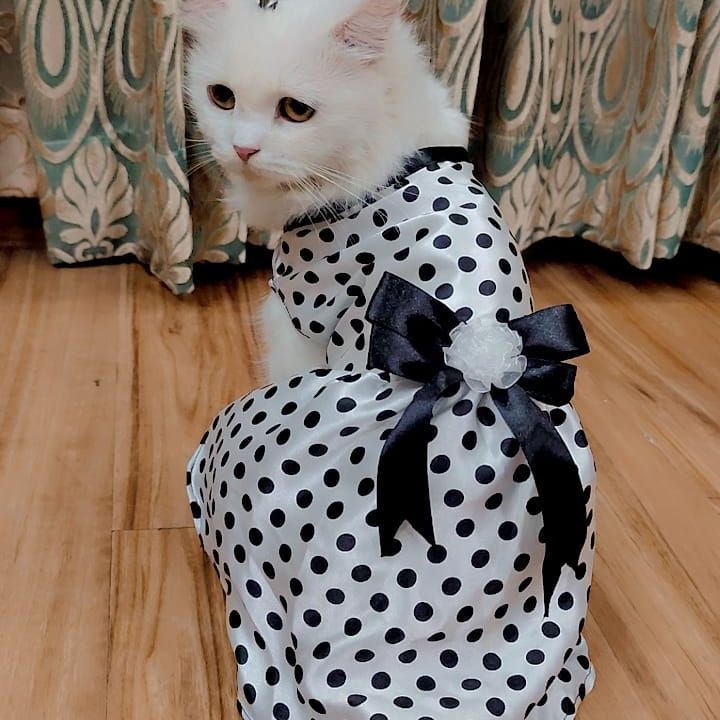 Polka Dot Pet Frock - Medium