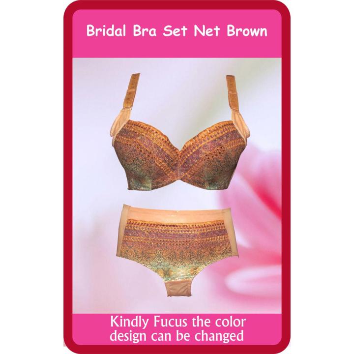 Women Imported Bridle Bra Net Set Brown Undergarments for woman