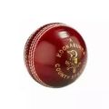 Indoor Rubber Cricket Ball - Pink - 70gm. 